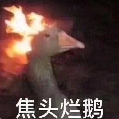 圖片2.jpg